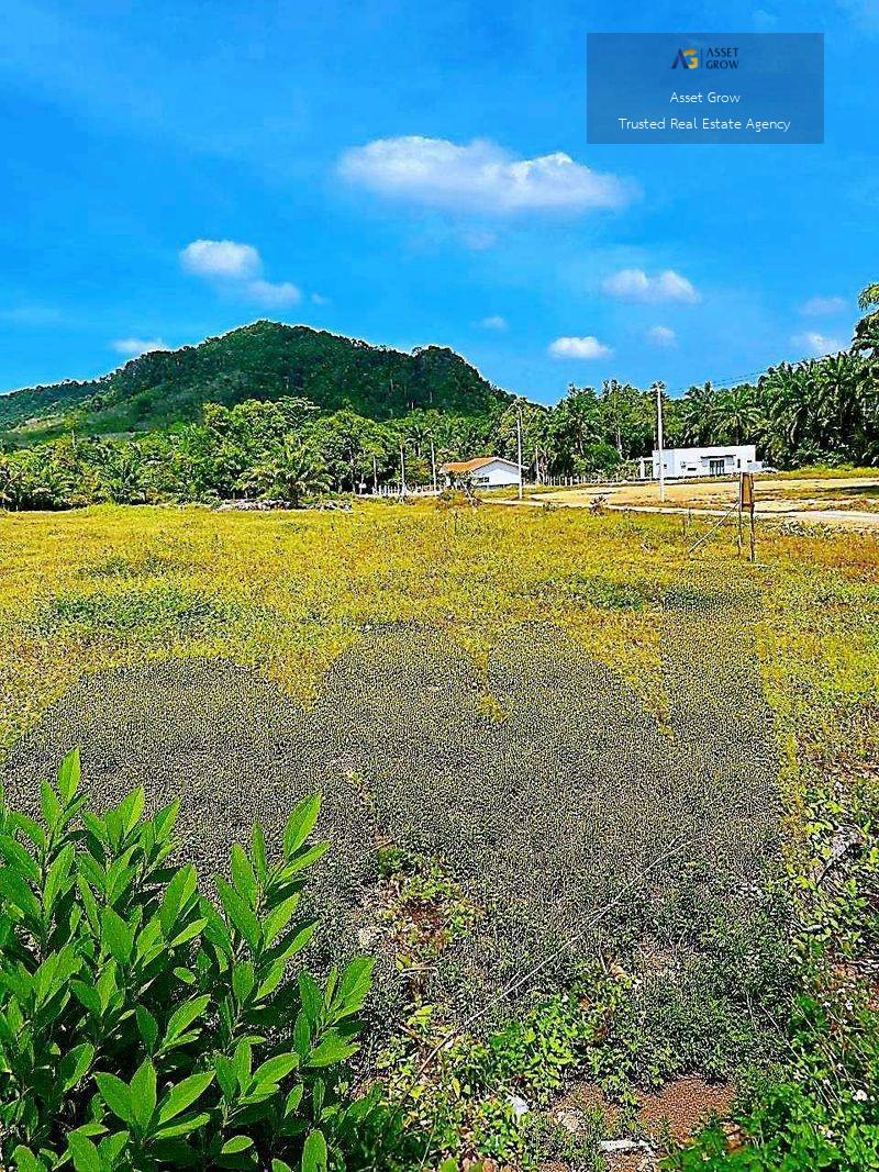 💥ขายที่ดินแปลงสวยกระบี่ ทำเลศักยภาพ ใกล้แหล่งท่องเที่ยวระดับโลก ต.หนองทะเล อ.เมือง จ.กระบี่  เนื้อที่ดินรวม  13-0-84.90 ไร่